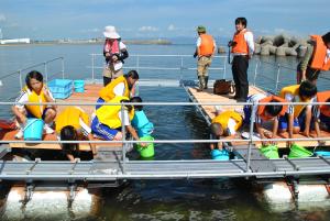 箱メガネで水中を覗いて海藻や魚を観察