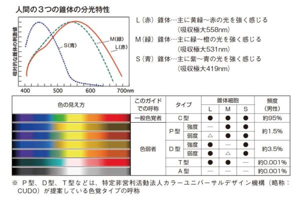 人間の３つの錐体の分光特性