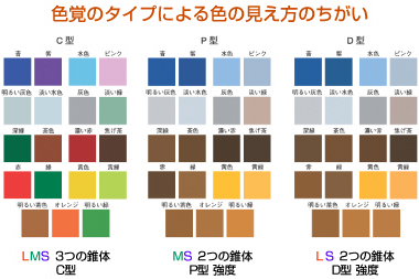 色覚タイプによる色の見え方の違い