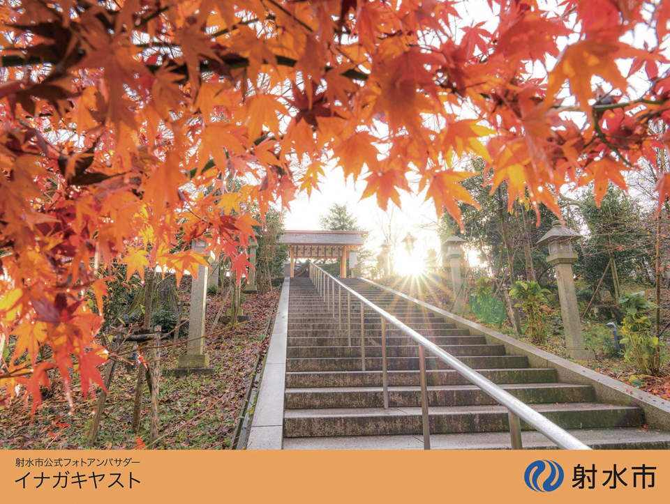 朝日に照らされる櫛田神社の紅葉