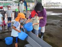 稚魚の放流