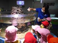 水族館見学