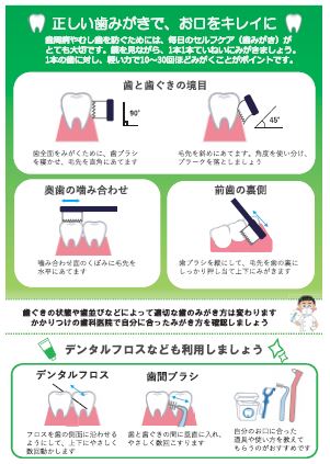 歯の健康リーフレット裏