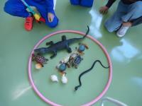 マジックハンド獲物１