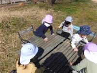 オオイヌノフグリをテーブルに並べる子供たち