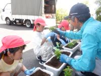 地域の人に花苗の植え方を教えてもらっている様子