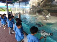 5歳児遠足　魚津水族館