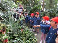 植物園を見学する子ども達