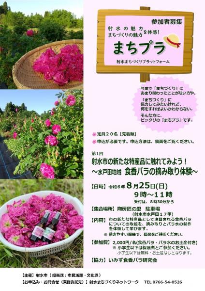 ちらし