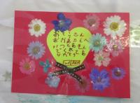 おしばな９
