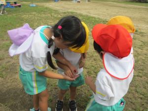 捕まえた虫を観察する子供たち