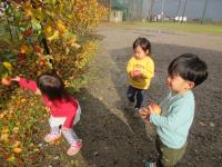 りんご狩りを楽しむ未満時