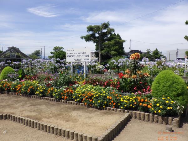 【市井コミュニティ花壇】