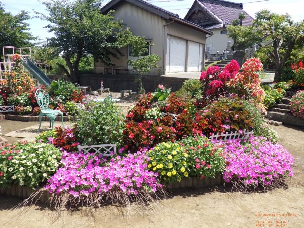 【広場全体を余すことなく彩る花々】