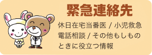 緊急連絡先　休日在宅当番医 / 小児救急電話相談/その他もしものときに役立つ情報